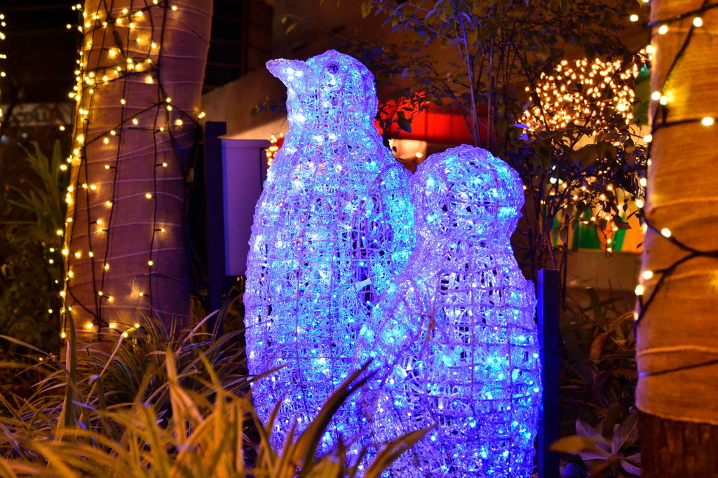 多摩センターのペンギン