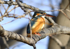 かぶってますが・・・