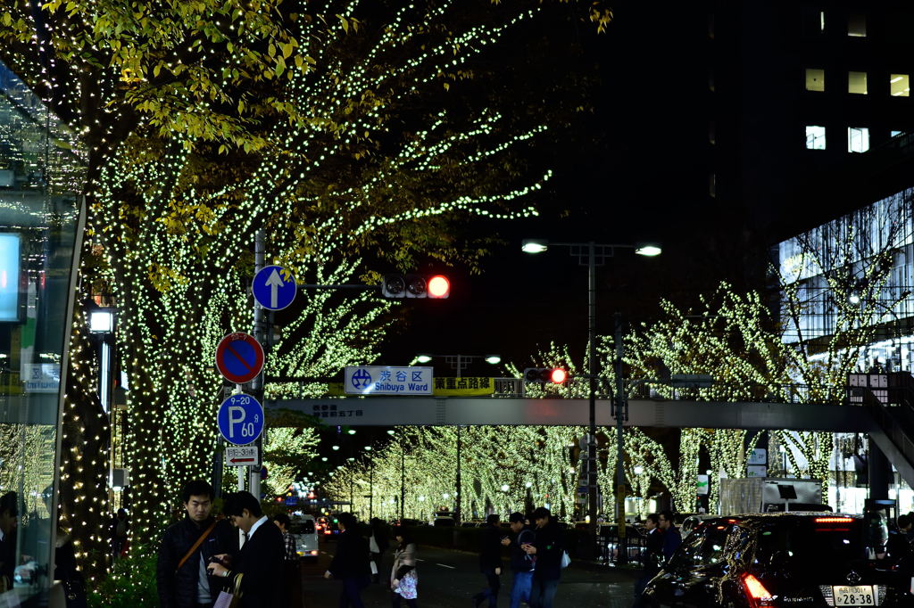表参道イルミネーション