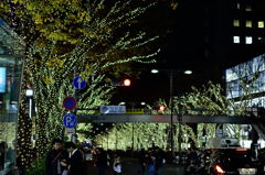 表参道イルミネーション