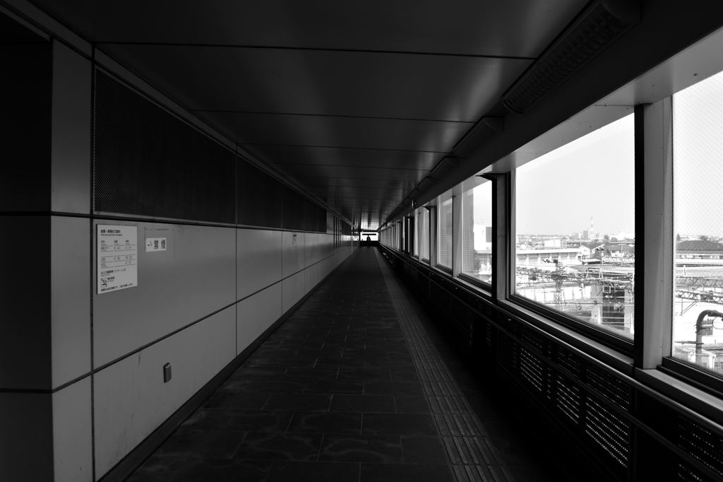 この道はいつか来た道