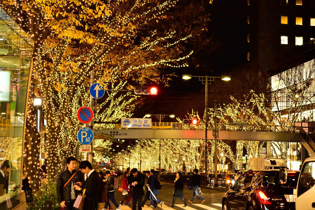 表参道イルミネーション2