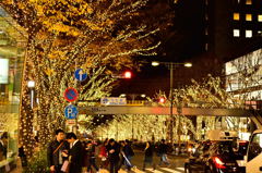 表参道イルミネーション2