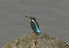 石の上1 石の上1