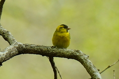 ★DSC08657