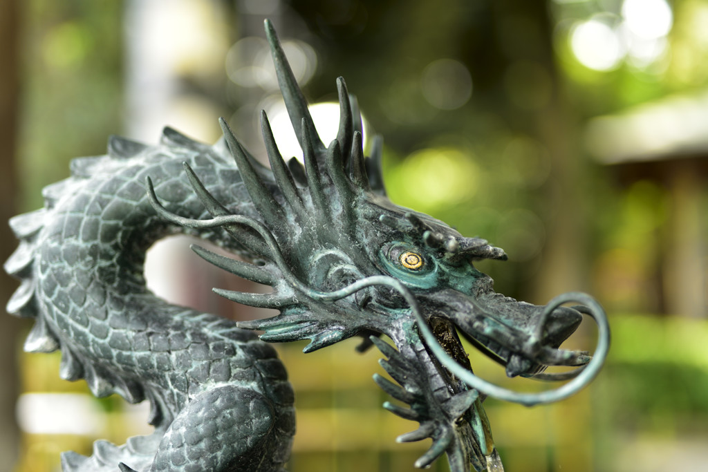 龍