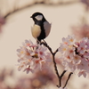 シジュウカラと桜