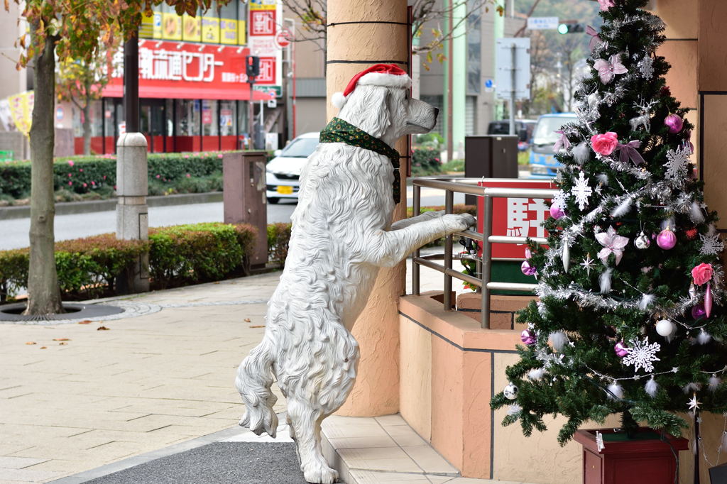 僕も遊びたーい！