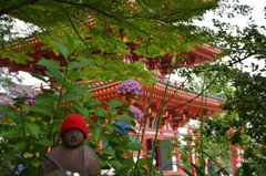 高幡不動 お地蔵さんと紫陽花