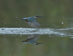 飛び出し 飛び出し