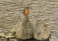 石止まり 石止まり