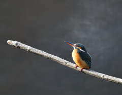 見上げる 見上げる