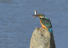 着陸後1 着陸後1