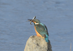 着陸後2 着陸後2