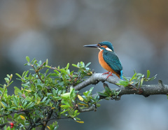 本日のお立ち台 本日のお立ち台