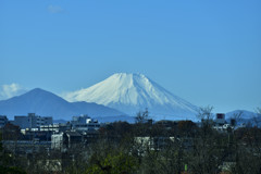 富士山遠景