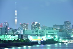 竹芝ふ頭からスカイツリー