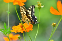 また会いたいね2