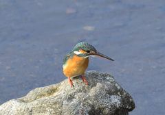 石の上3 石の上3