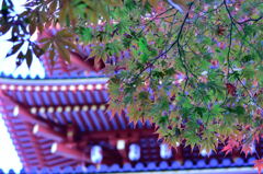 高幡不動尊の紅葉