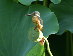 着陸後
