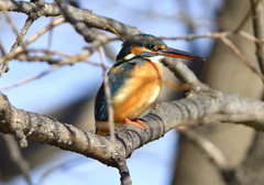 かぶってますが・・・2