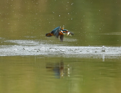 飛び出し3 飛び出し3