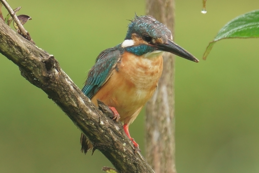 お父さんは大変・・・お疲れ様