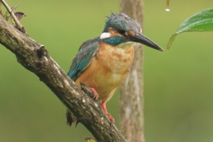 お父さんは大変・・・お疲れ様