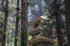 山形県　羽黒山五重塔　2