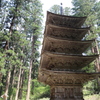 山形県　羽黒山五重塔　1