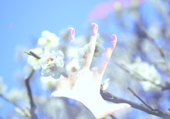 春を追いかけて