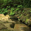 小川