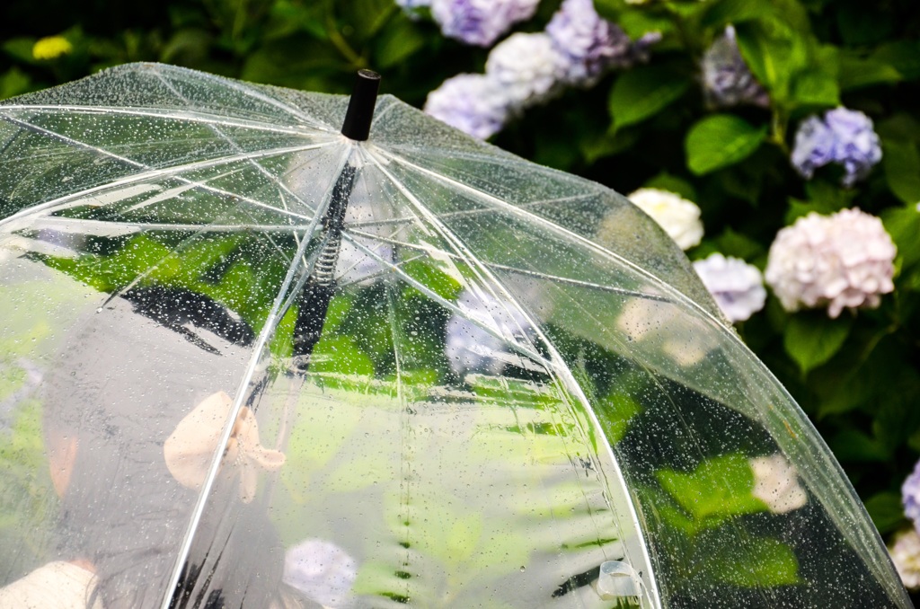 雨だからこそ