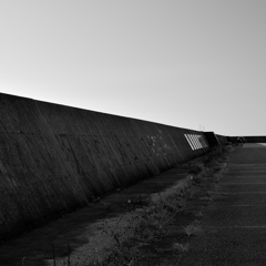 DSC_8296