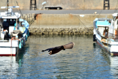 DSC_8495