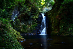 DSC_8010