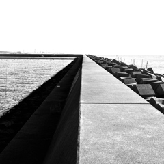 DSC_8374