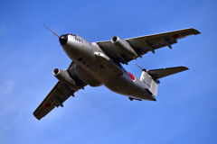 C-1（ツノ付き）