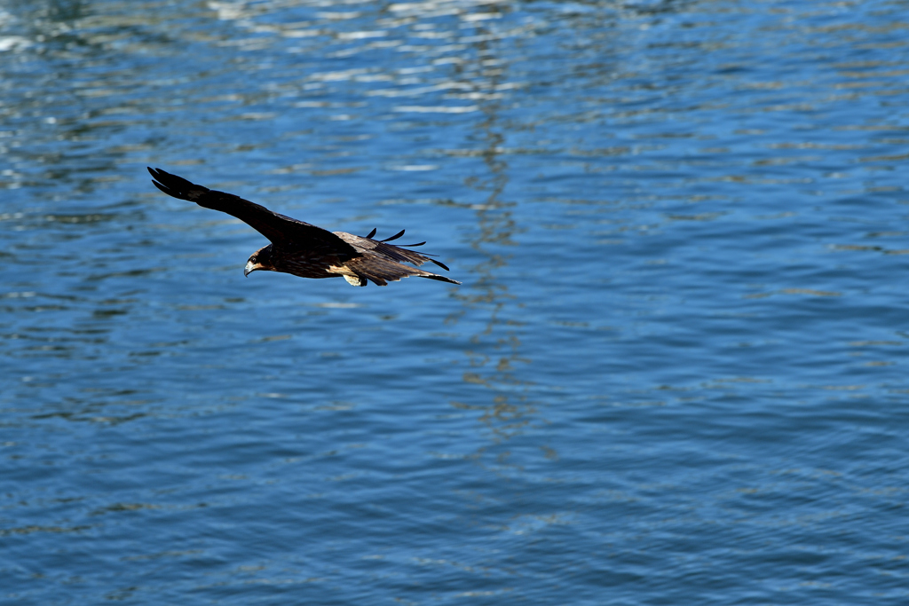 DSC_8501