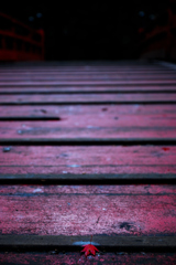 DSC_6063_2