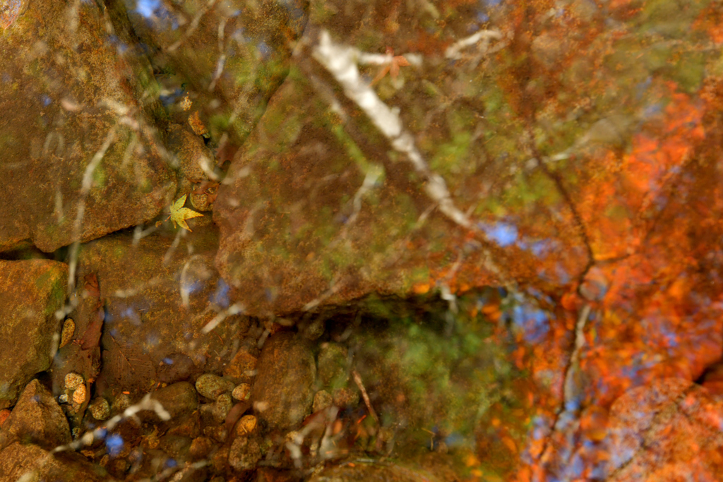 DSC_8016