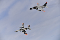T-4