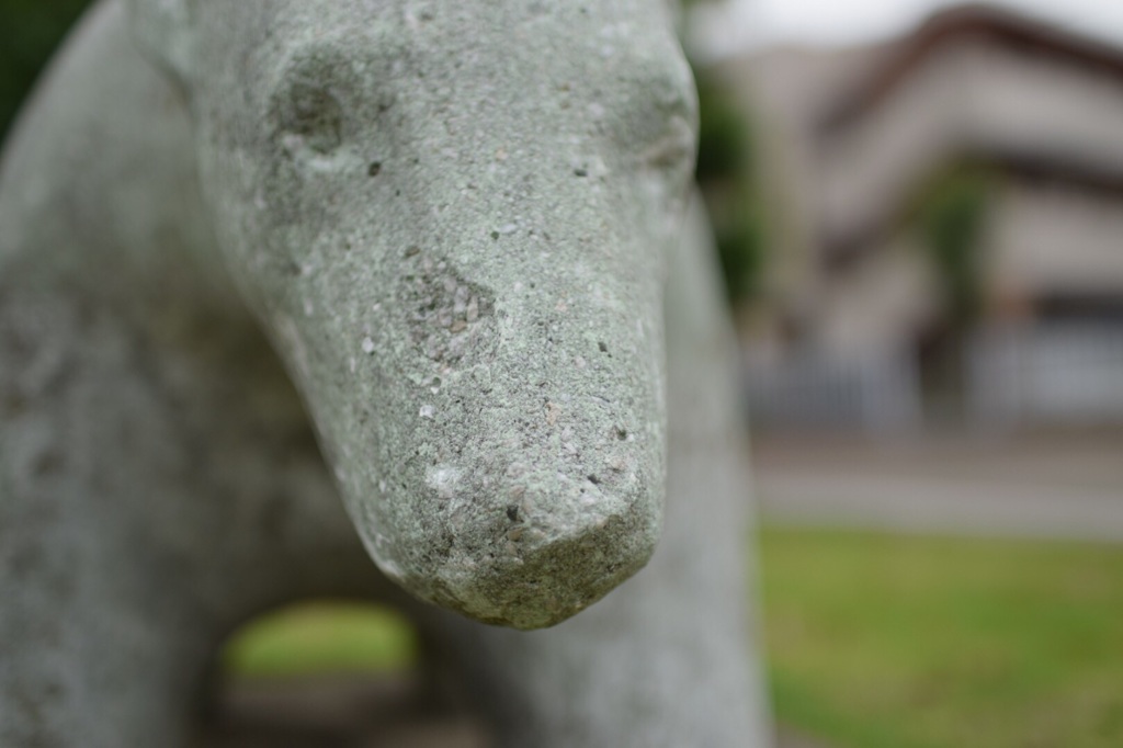 sirokuma?