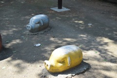 butasan