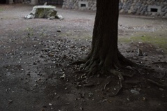 雨上がり