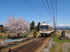 富山の春