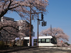 トラムが走る街