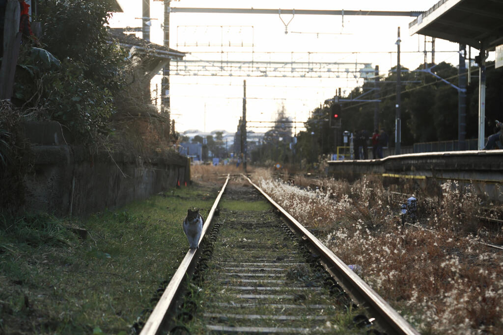 帰り道