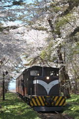さくらトンネル